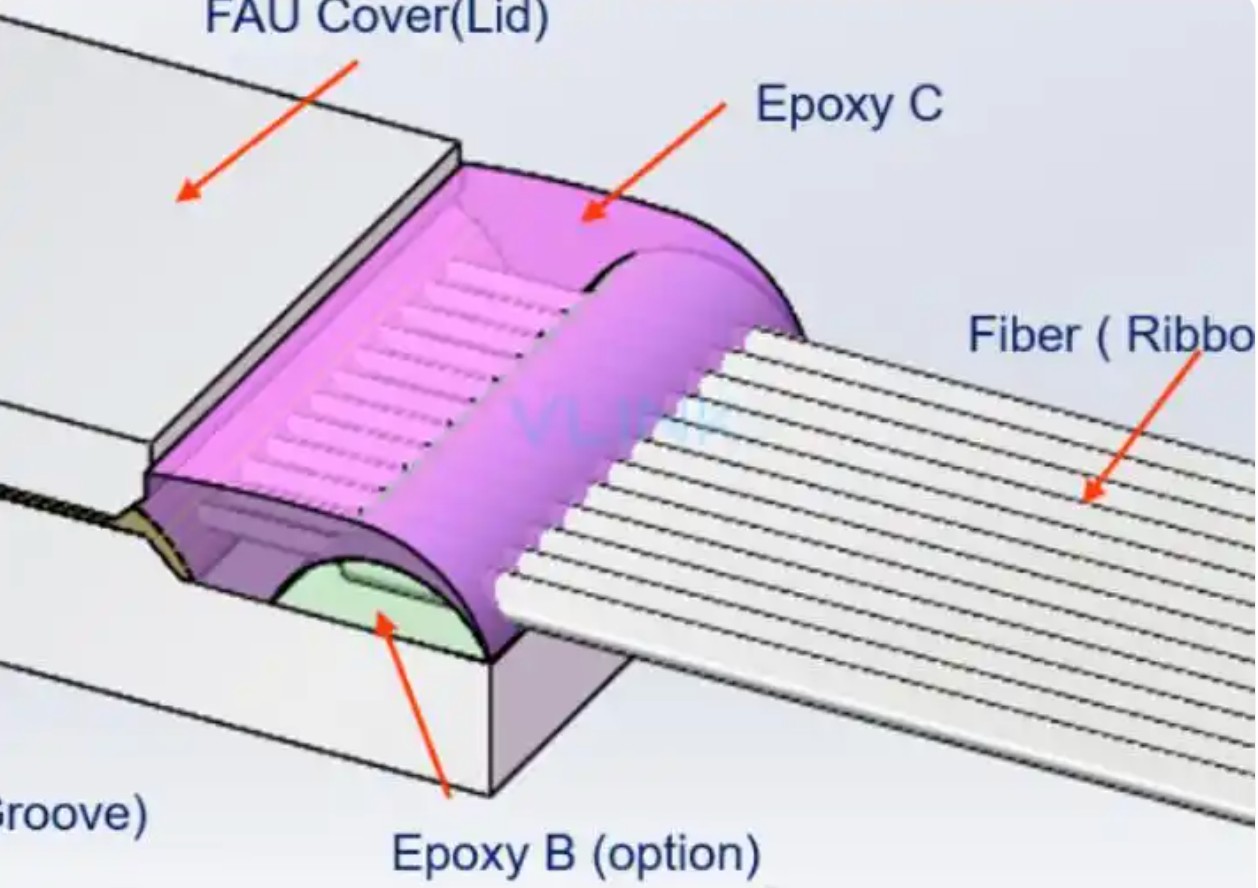 FAU 3D 立体模型图